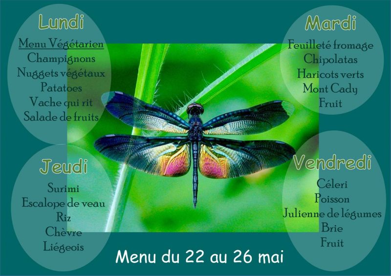 Menu du 22 au 26 mai